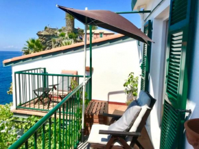 La Marinarooms single room with private sea view terrace Vernazza